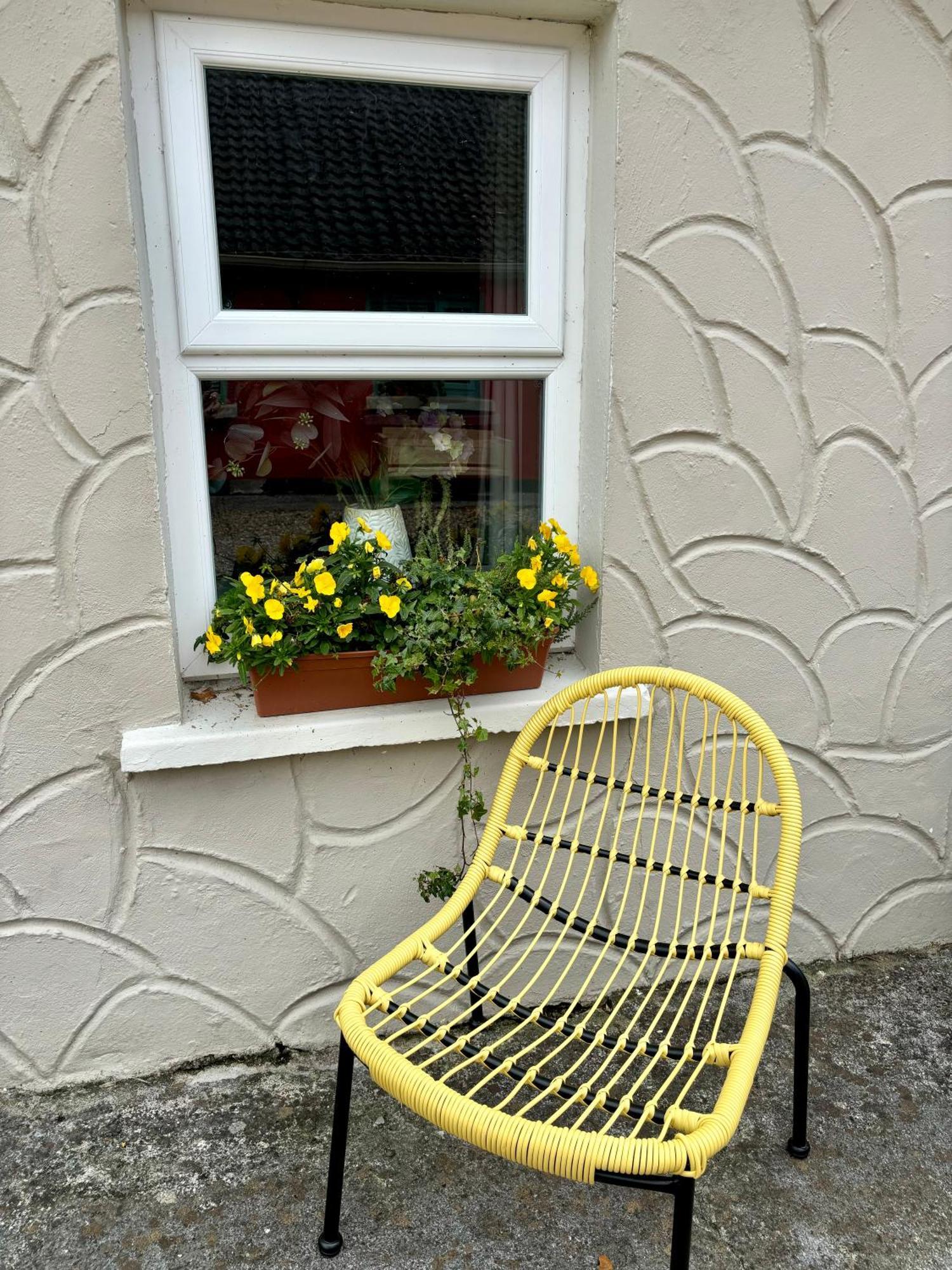 Lemonade Cottages キルラッシュ エクステリア 写真
